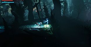 Swords And Their Boy