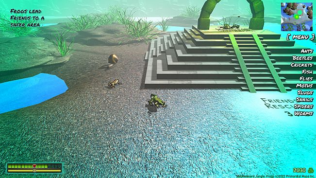 Markerboard Jungle: Frogs