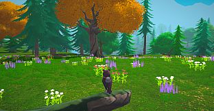 Wizards Owl: Magic Delivery