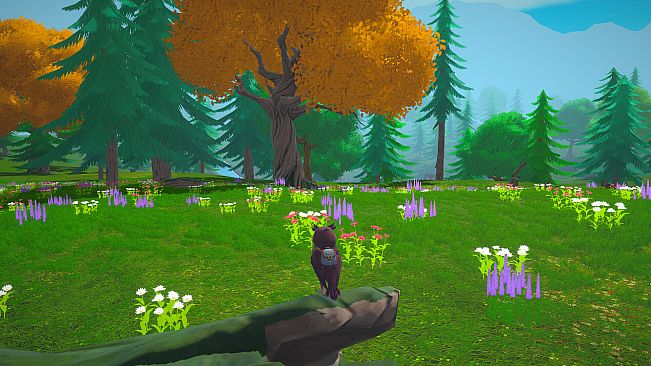 Wizards Owl: Magic Delivery