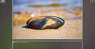 Super Jigsaw Puzzle: Generations - Beaches Puzzles