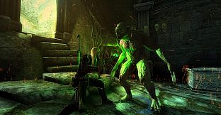 The Witcher: Director's Cut Update