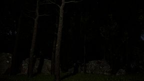 The Shadows Within: Nightmare's Game