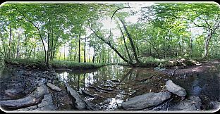 Exhale XR - Splendid Life