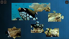 Puzzles for smart: Underwater Kingdom