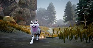 Warrior Cats: Clans of the Forest