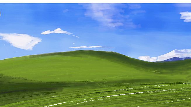 你的小鸡鸡