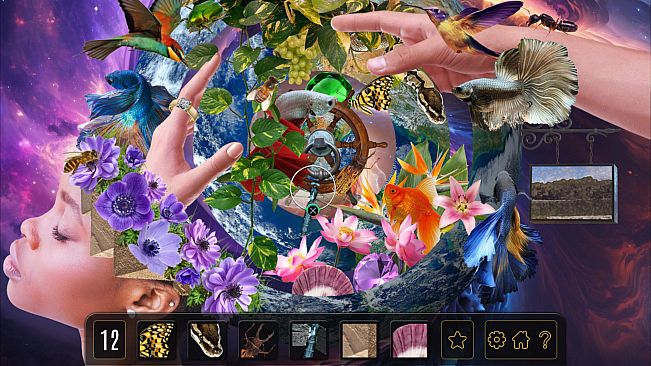 Gallery Of Things: Reveries