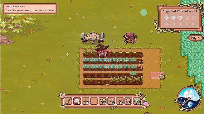 Mystic Garden