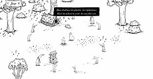 Des racines et des graines