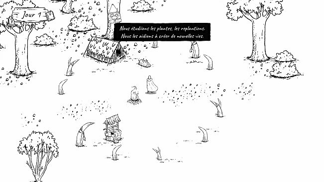 Des racines et des graines