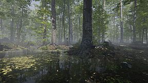 Mushroom Collector Simulator