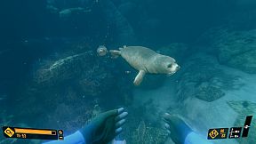 Deep Diving Adventures