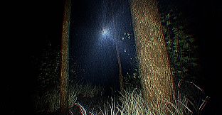 The Lost Within