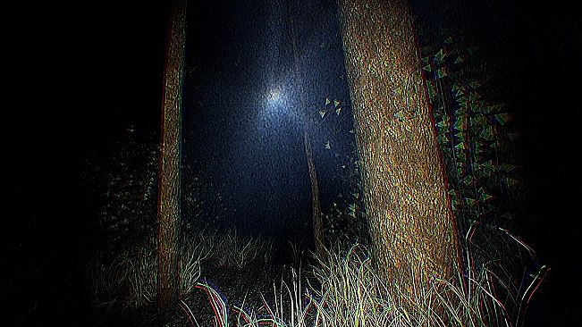 The Lost Within