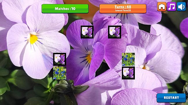 OG Memory: Spring 2K24