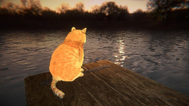 Just One More Pet