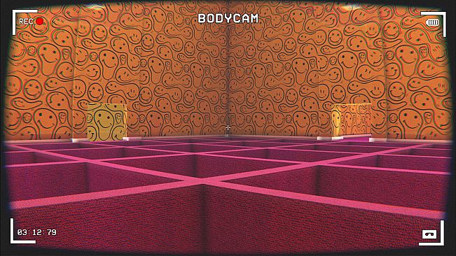 The Backrooms: Anomaly Containment Unit