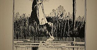 The Thief, the Witch, the Toad, and the Mushroom.