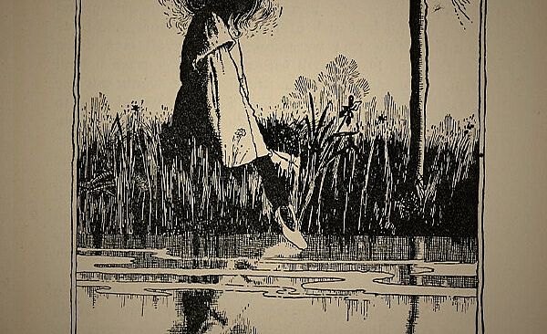 The Thief, the Witch, the Toad, and the Mushroom.