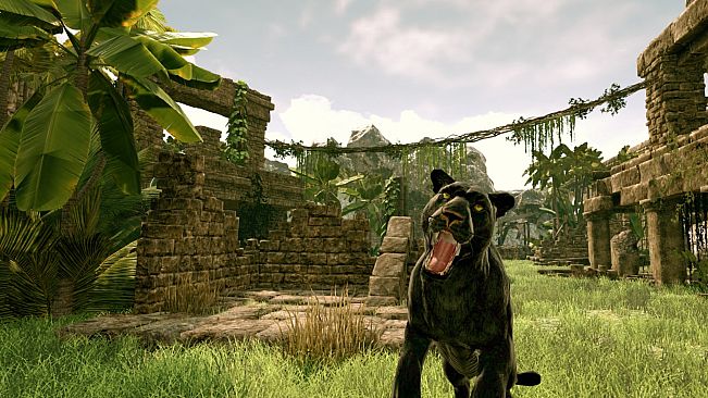 Motoride Rollercoaster VR