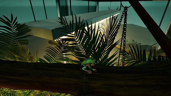 Planet Frog