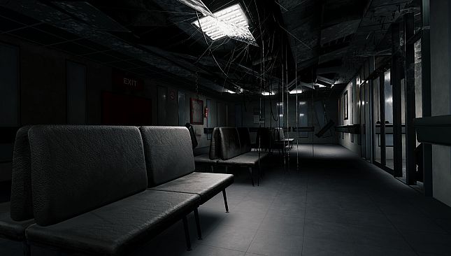 The Mirror Dimension