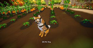 Let's Farm Together
