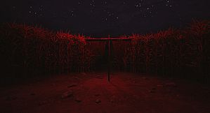 CornField