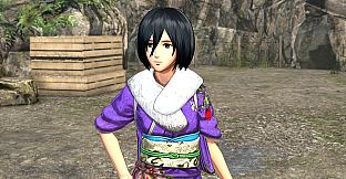 Additional Costume Set: New Year's Outfit