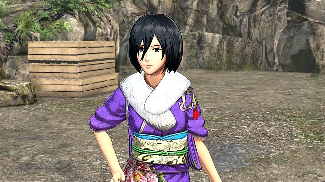 Additional Costume Set: New Year's Outfit