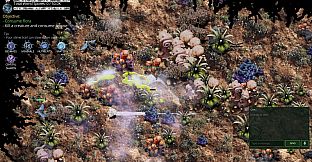 Mycelium Conquest: Mitosis