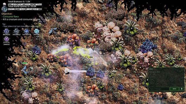 Mycelium Conquest: Mitosis