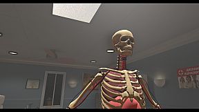 Human Constructor VR