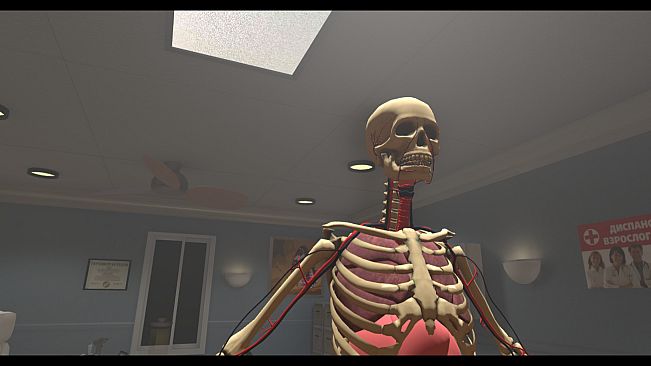 Human Constructor VR