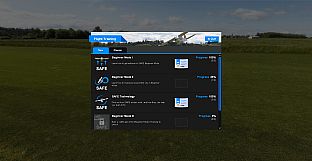 RealFlight Evolution