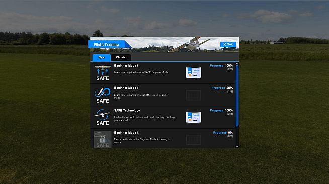 RealFlight Evolution
