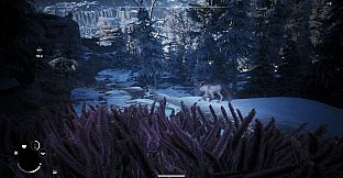 Winter Survival: Prologue