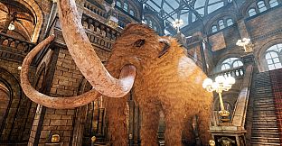 PROJECT HUNT - Trophy Museum