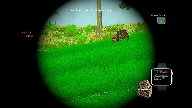 Turkey Hunting - The Season