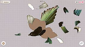 Birds Huddled Together