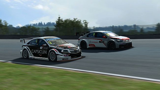 RaceRoom - WTCC 2014 Car Pack