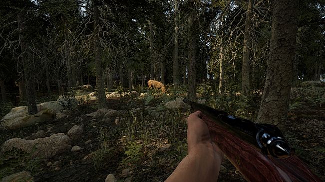 Evergreen - Mountain Life Simulator