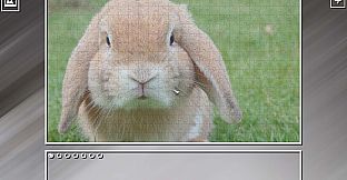 Super Jigsaw Puzzle: Generations - Random Animals Puzzles