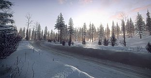 DiRT Rally 2.0 - Sweden (Rally Location)