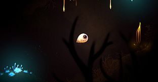 Evolution From the little light