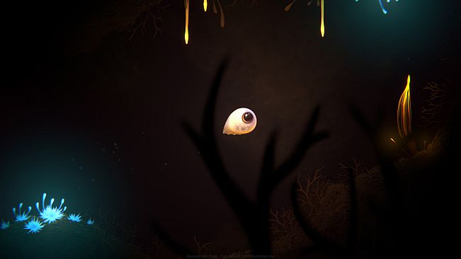 Evolution From the little light