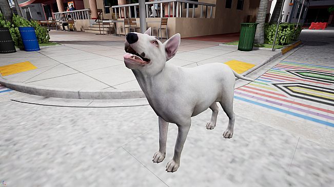 AI Roommate: Paws at Home