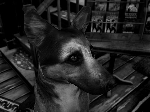 The Last Crown: Midnight Horror