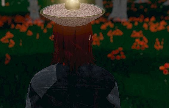 Hide and Seek - Chinese Hat